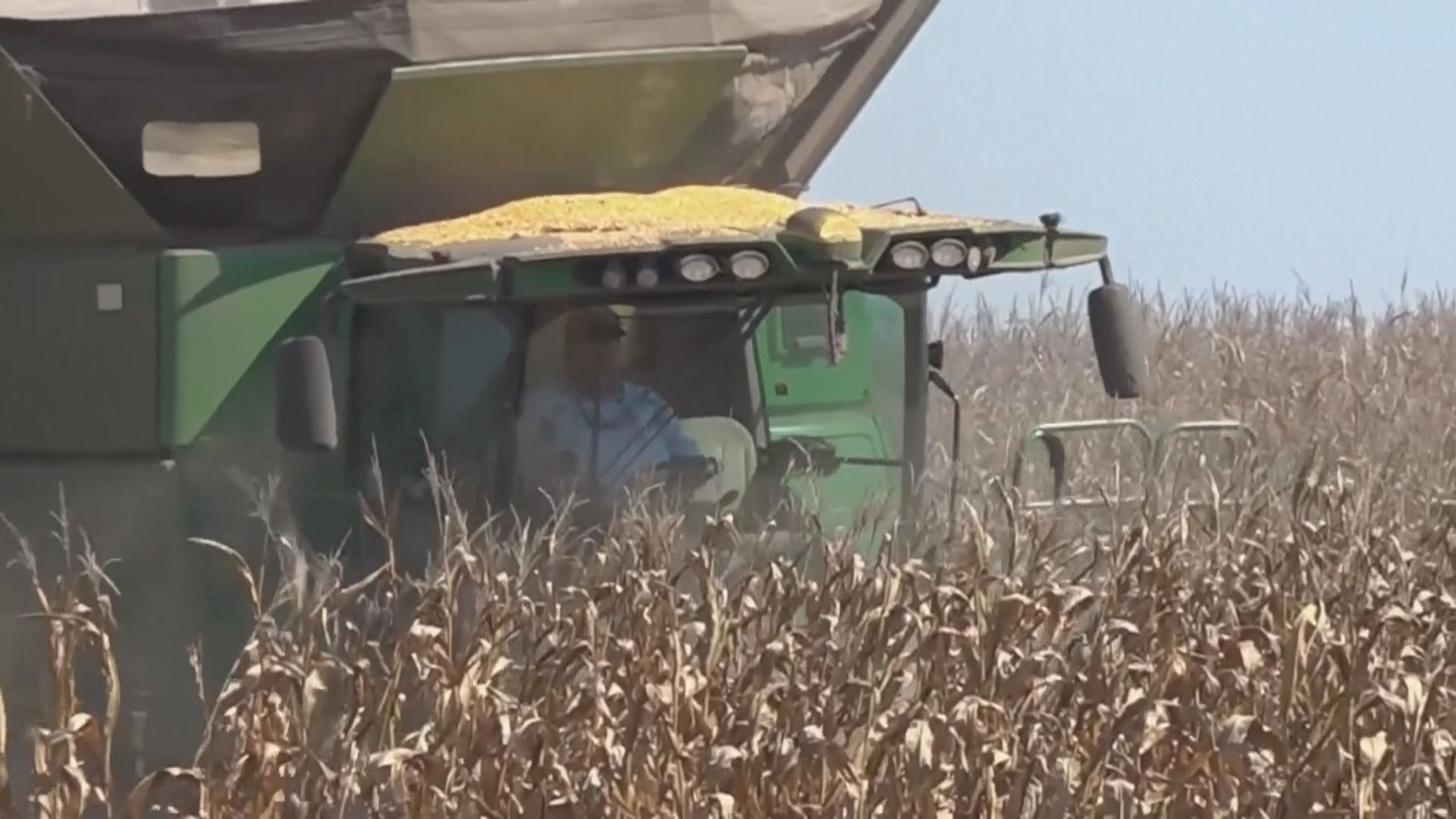 中國向美購買約79萬噸大豆　特朗普促加快採購