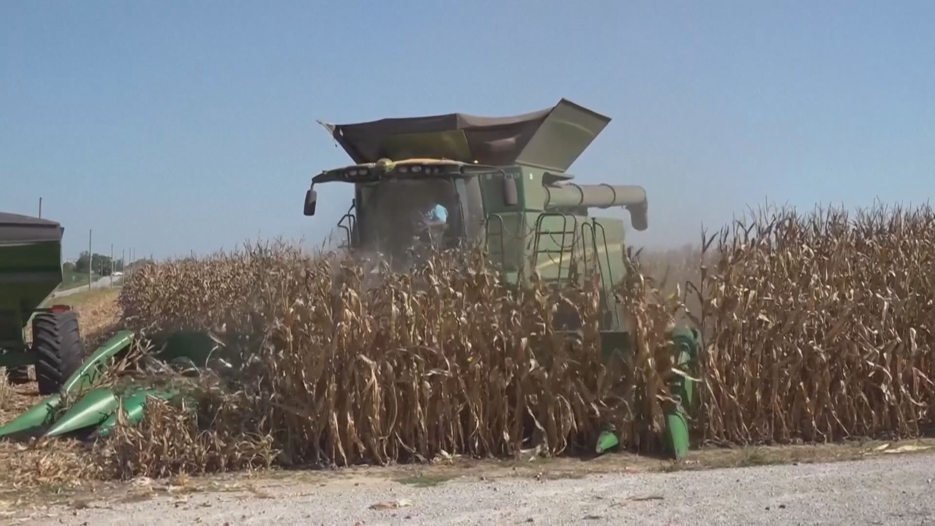 外電：中國本周購買約60萬噸美國大豆