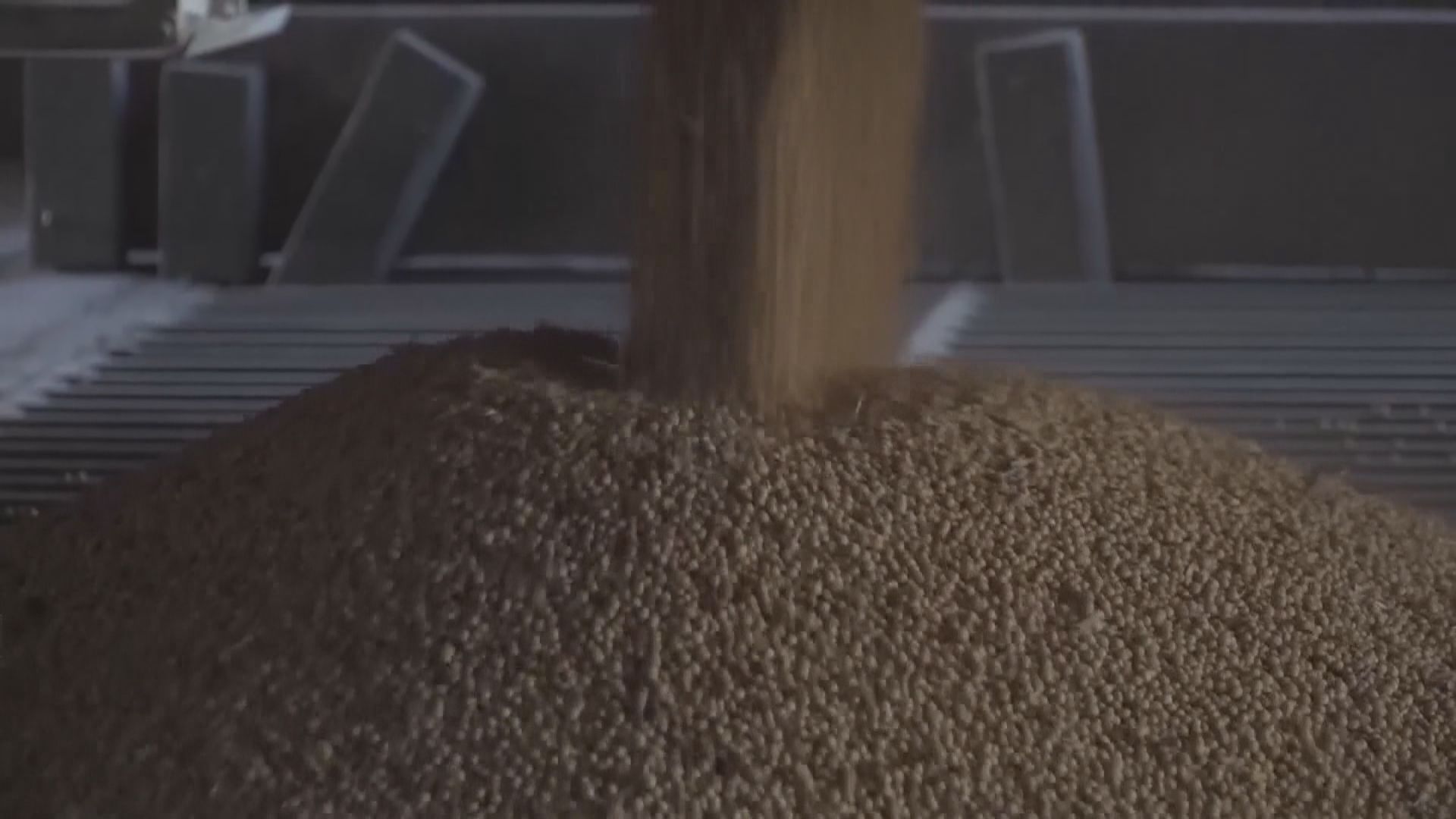 中國買家訂購58.5萬噸美國大豆　為4月以來最大筆