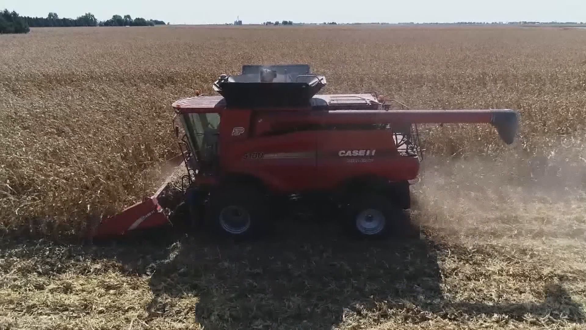 路透：中國下令國企暫停採購美國大豆和豬肉