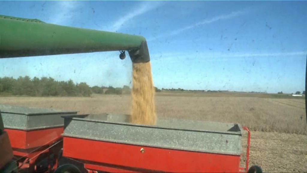 【中方先讓步】商務部：撤美入口高粱「雙反」調查