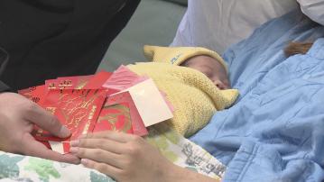 龍年生育高峰期 學者：政府兩萬元獎勵效用不大 估計生育率續跌