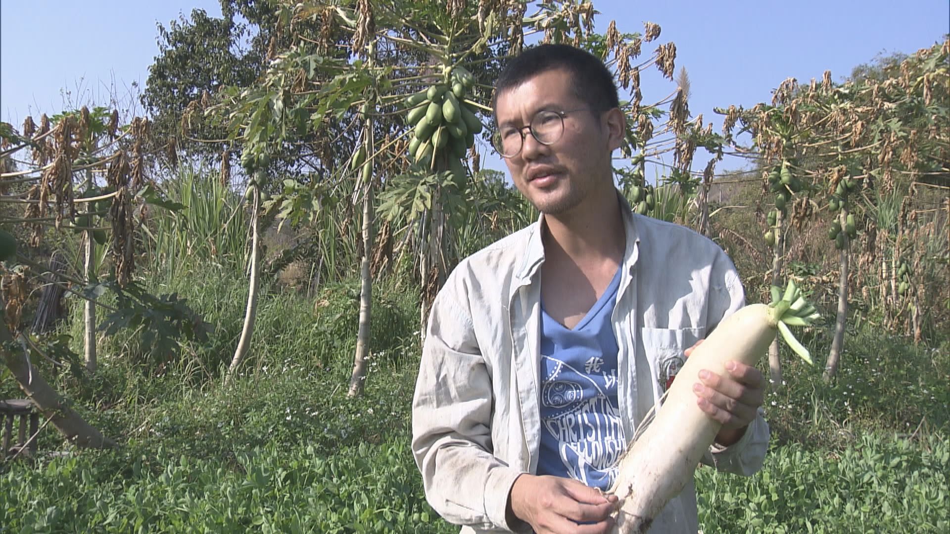 本地農民籌組平台　協助本地農民促銷農產品