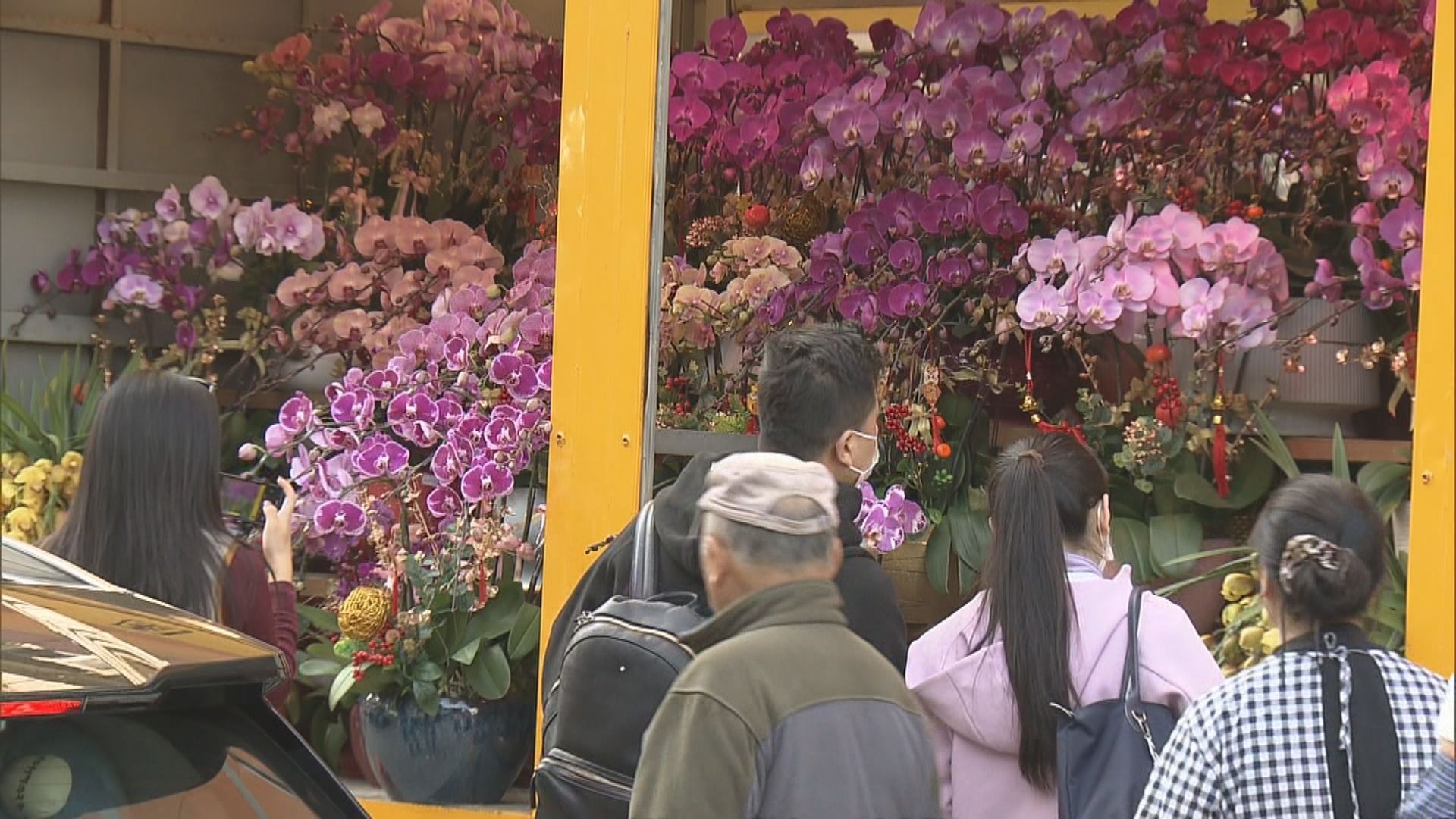 【北上買年花】  深圳花店：港人訂購增三成 花墟店主指客路不同無懼競爭