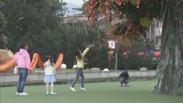 市民初一到大埔林村拋寶牒許願