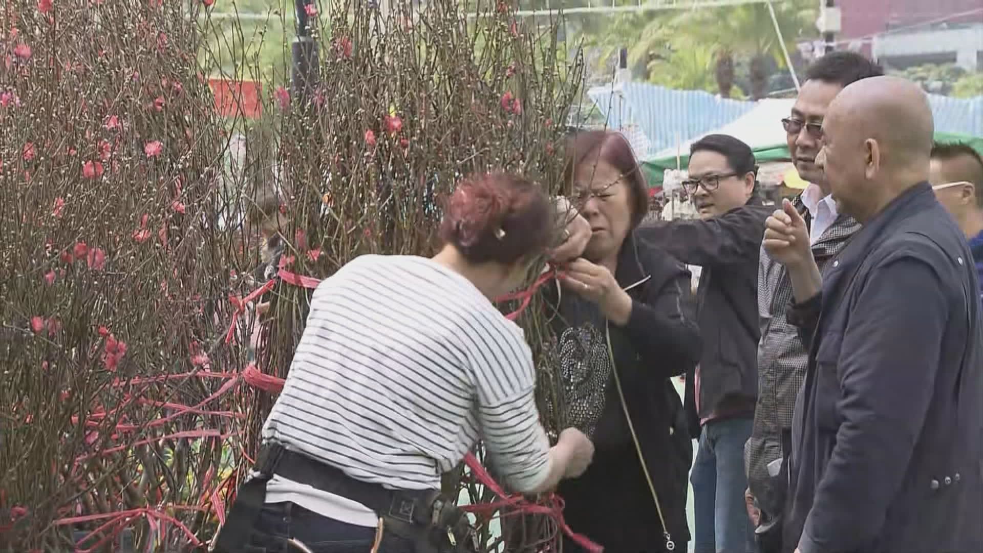 年宵花市開鑼　商戶對營業額感樂觀