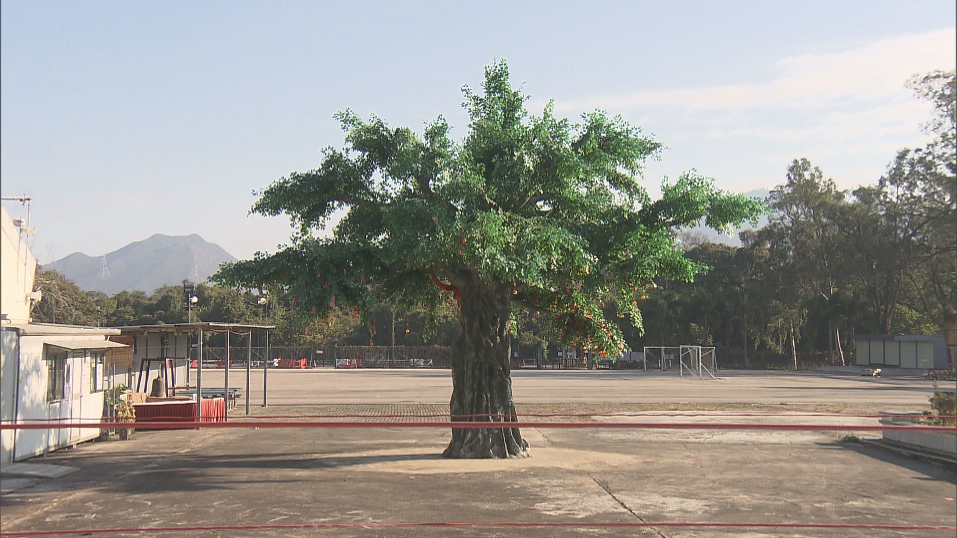 林村許願樹被圍封　市民嘆氣氛不及往年熱鬧