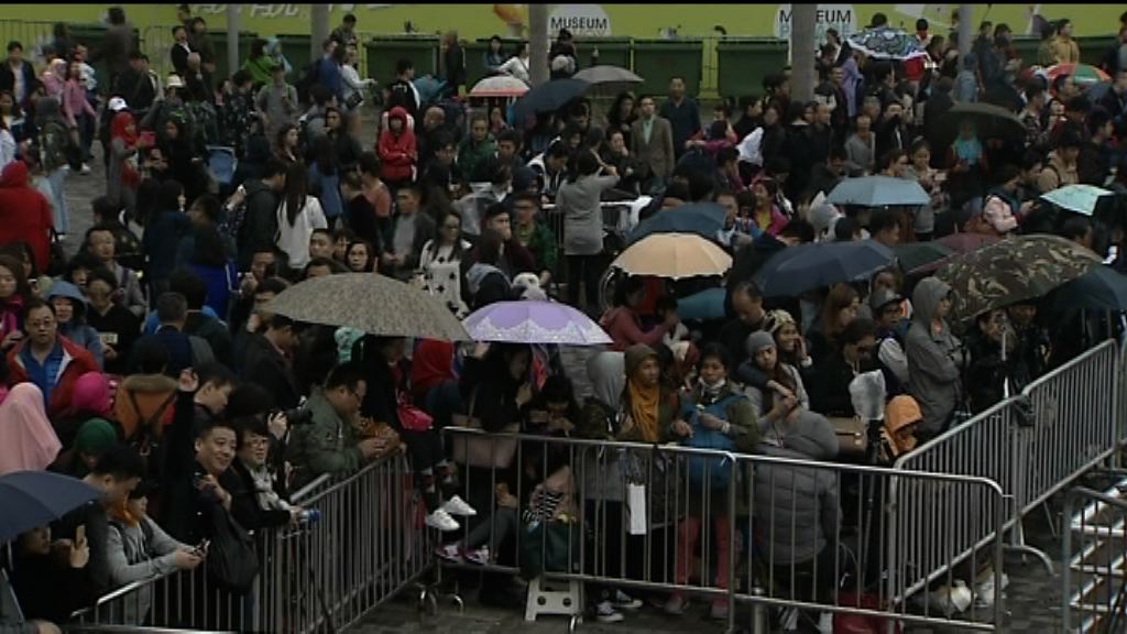 不少市民到海旁等候觀賞煙花