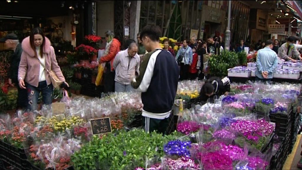 市民到花墟選購年花　