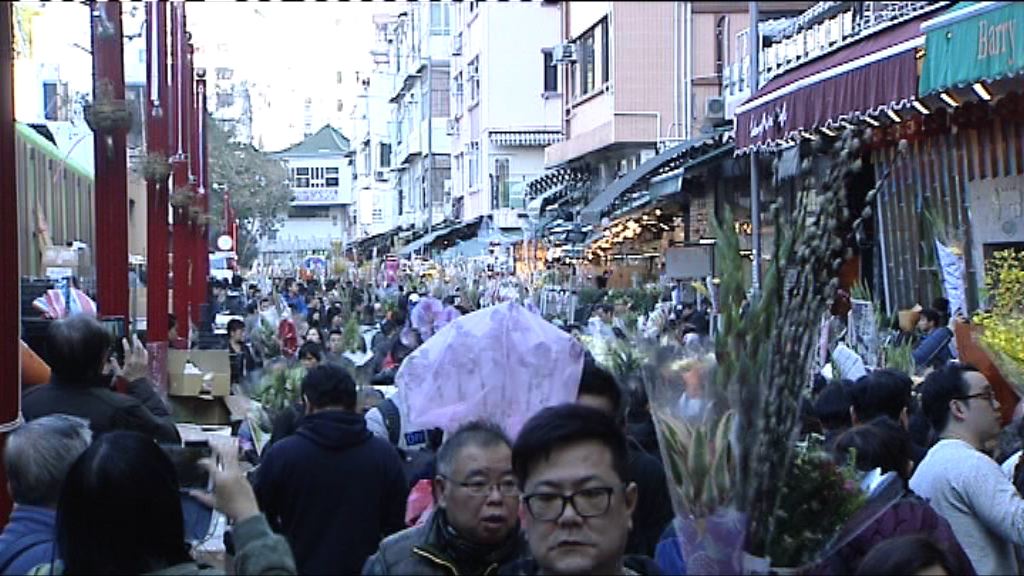 旺角花墟生意較往年好兩成