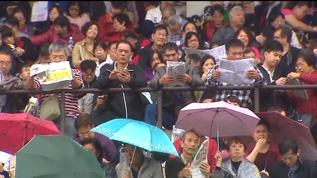 大批市民入場觀看年初三賀歲馬