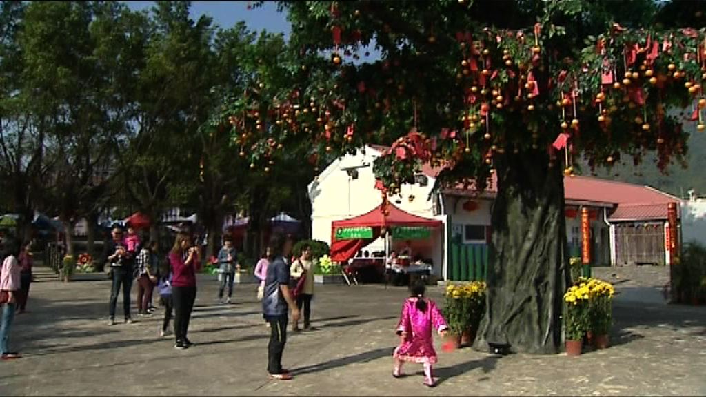 大年初一市民到林村許願樹許願