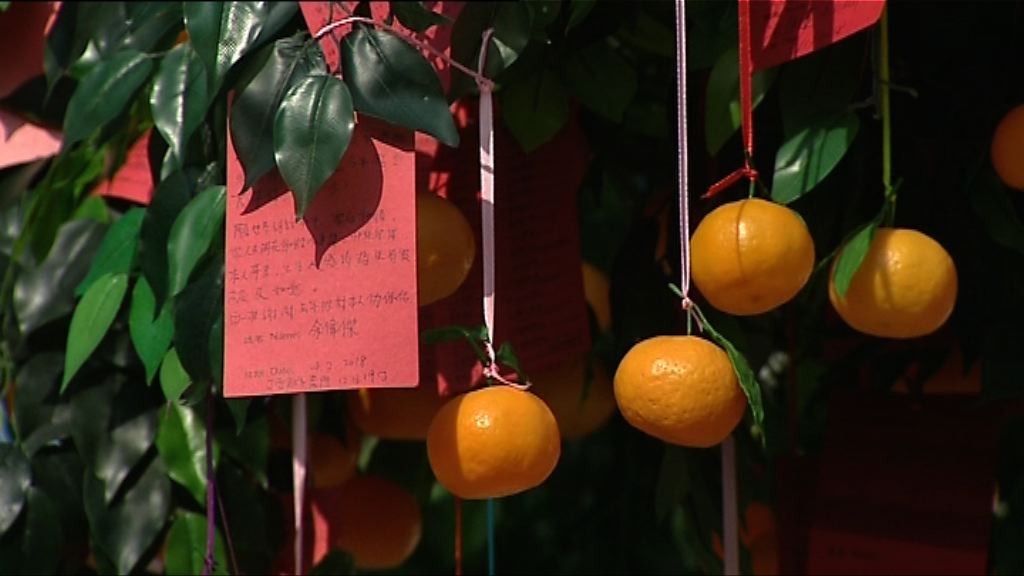 市民大埔林村許願祈求新一年身體健康