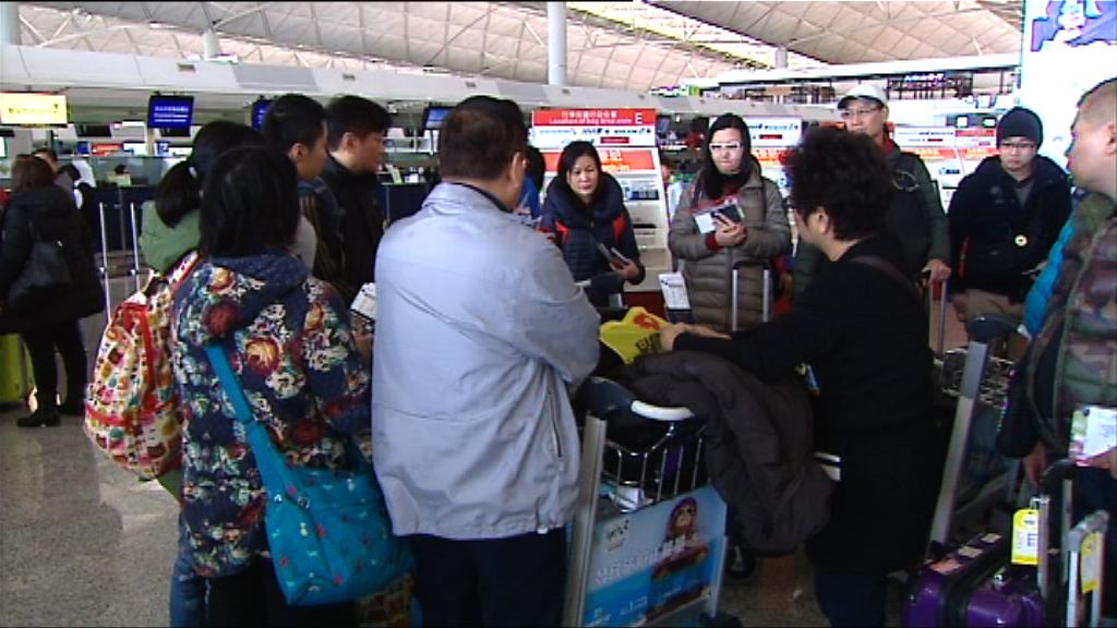 市民趁農曆新年假期外遊