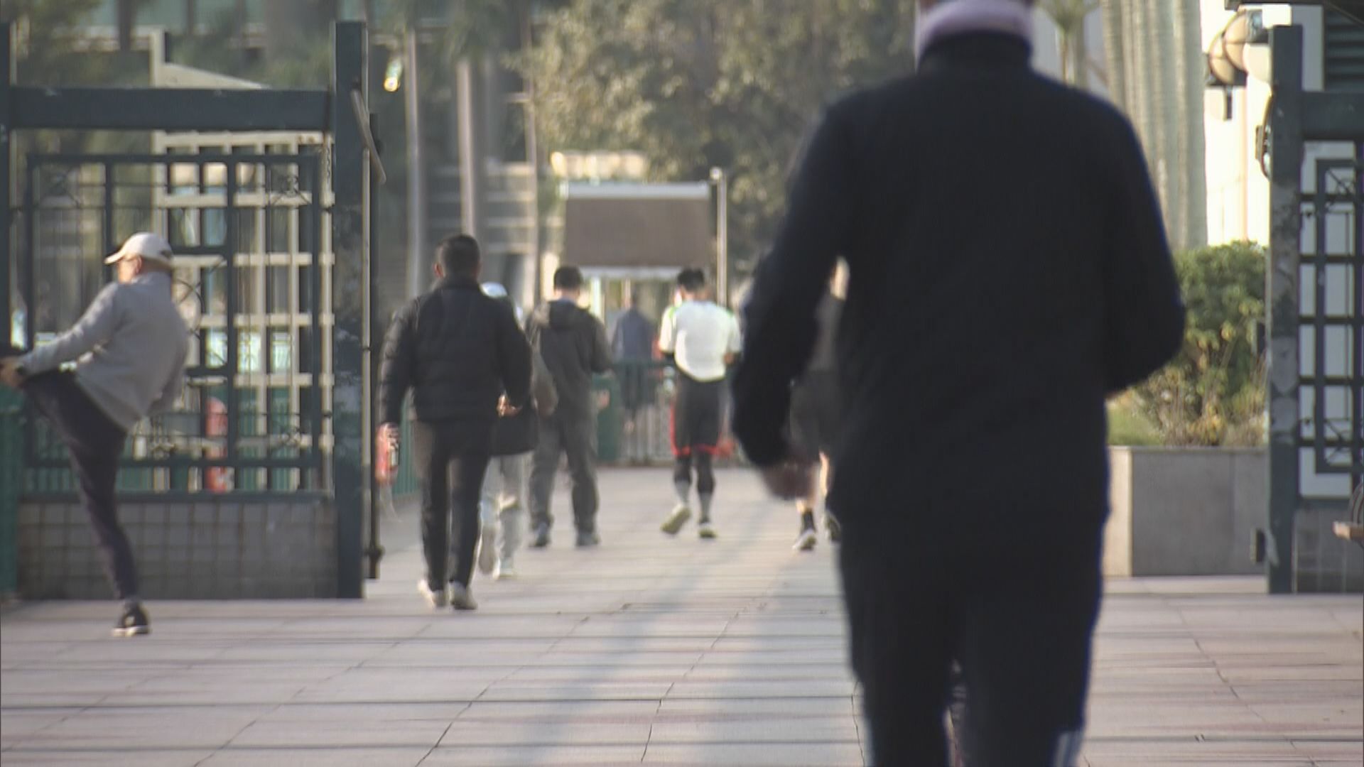 市區早上見11.5度入冬以來最低　大帽山僅2.3度未見結霜