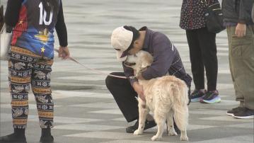 天文台錄最低17.1度　預料周四降至最低15度