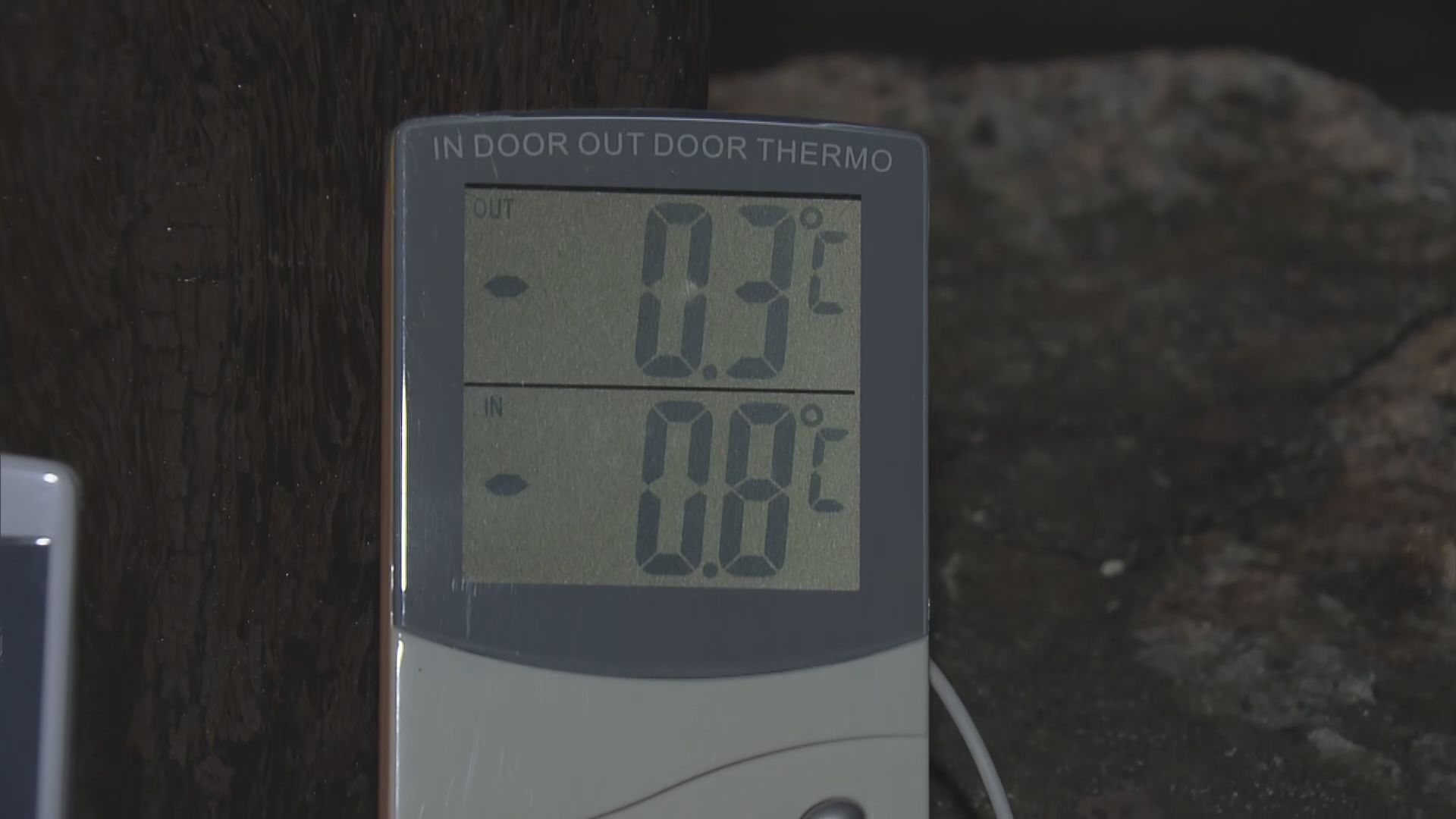 寒冷天氣警告生效　泳客無懼寒風如常「游早水」