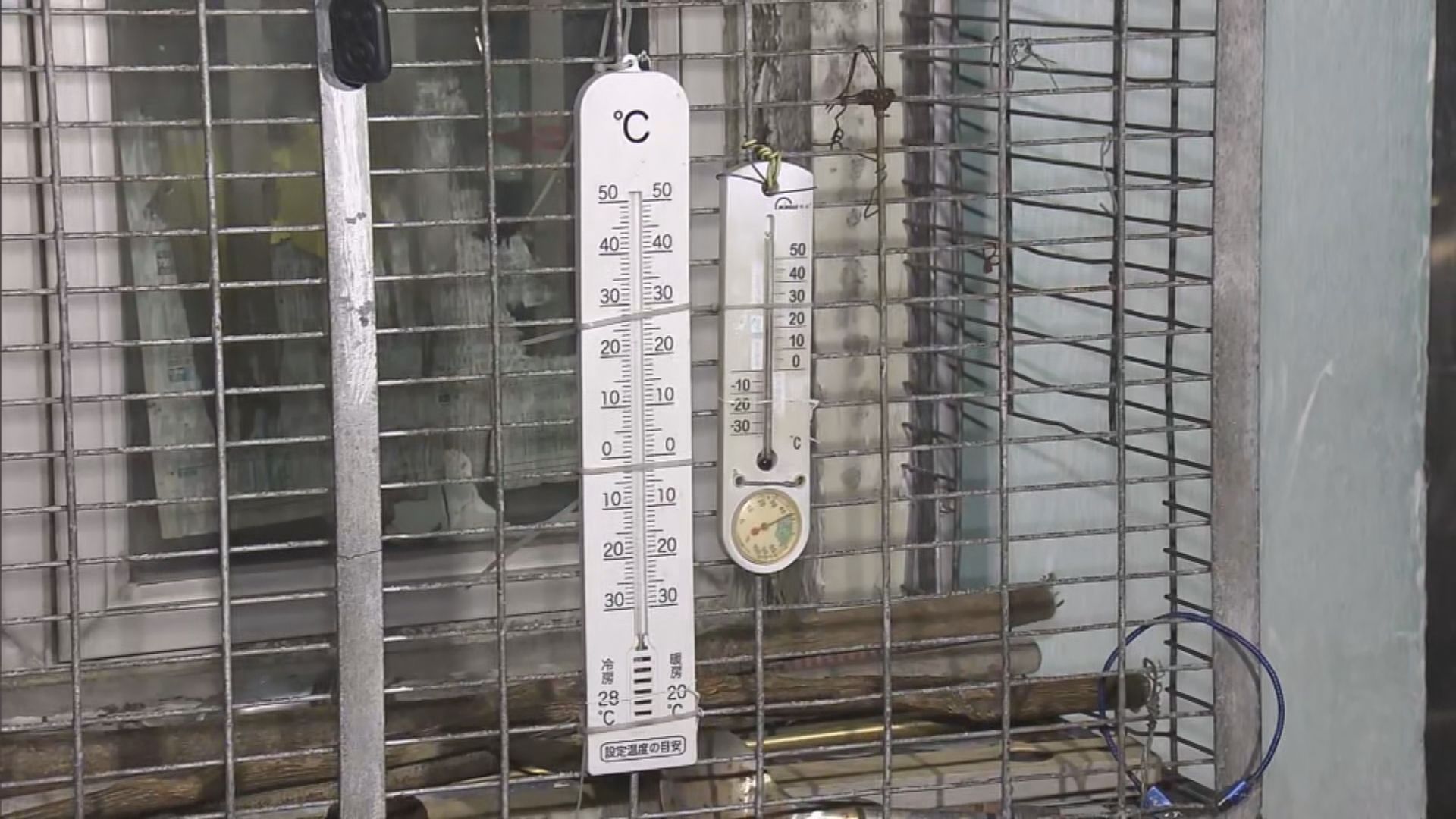 寒冷天氣警告生效　大帽山錄得約2度低溫