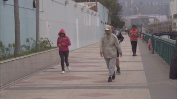 市區最低氣溫8.6度 近24年來最凍冬至