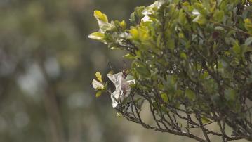寒冷天氣警告繼續生效 連續兩日市區氣溫低於7度