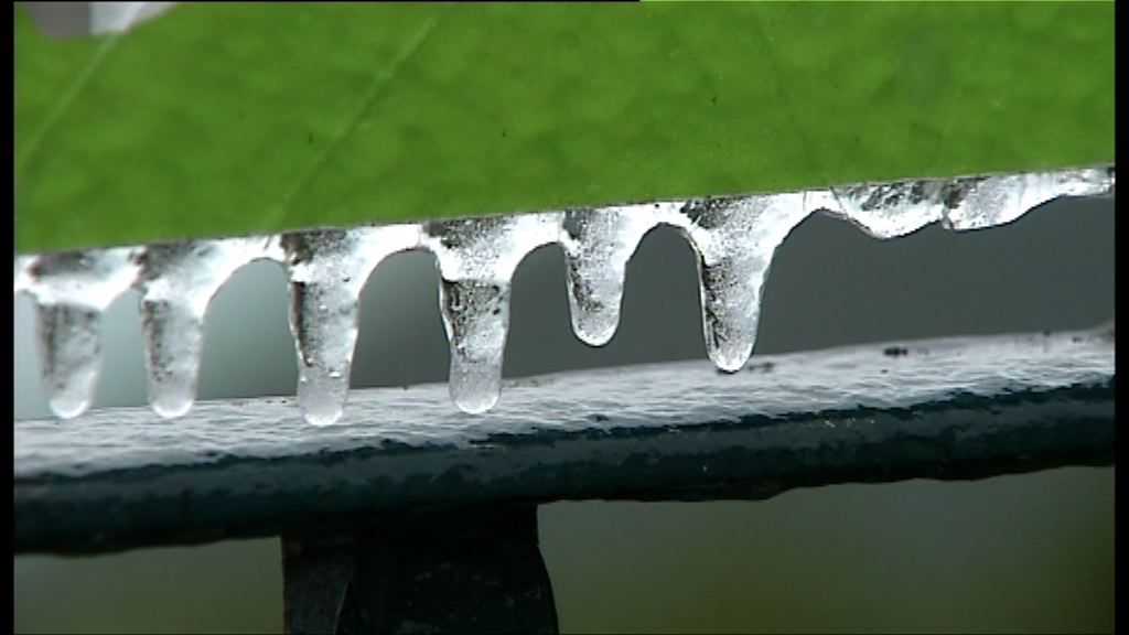 多區有雨夾小冰丸報告