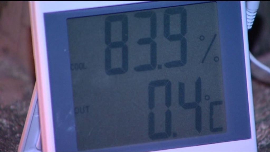 市區普遍在7度或以下　大帽山錄得0.4度