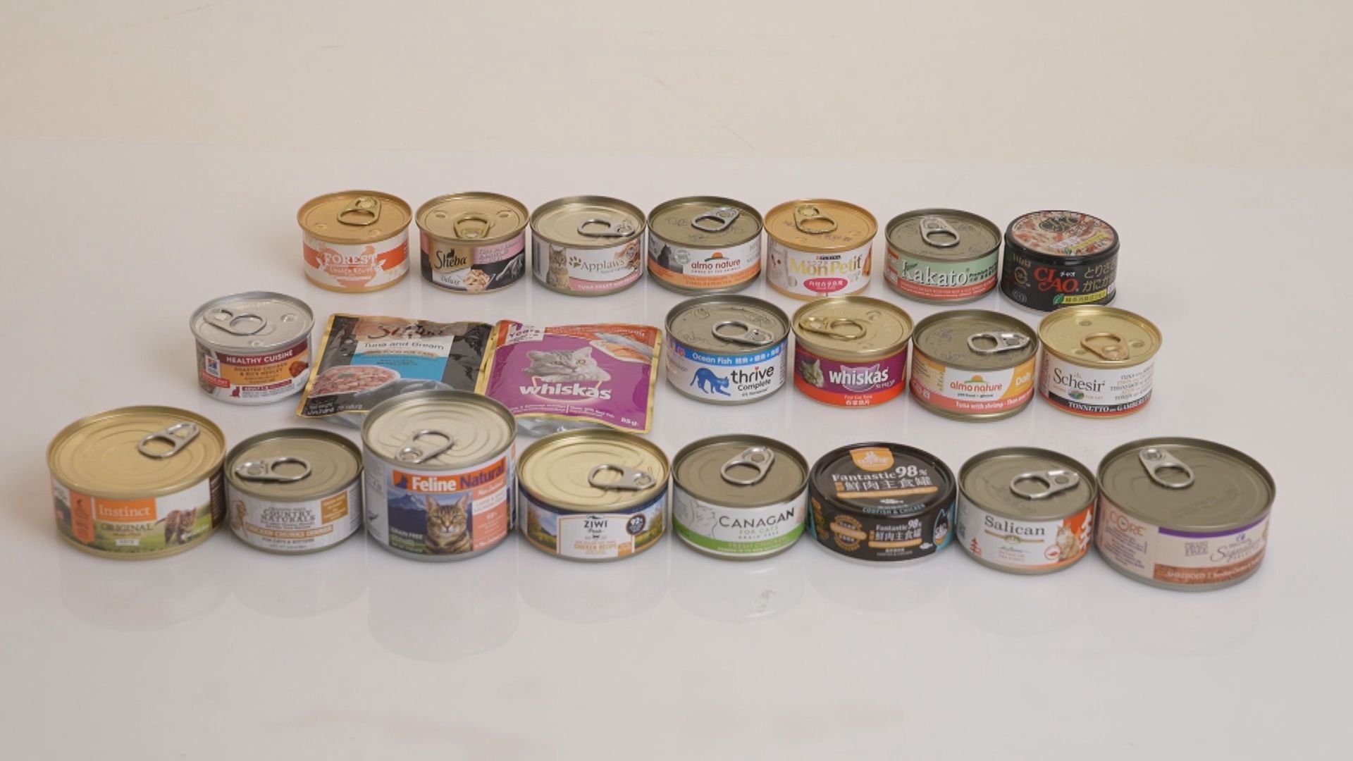 消委會驗22款貓糧罐頭　九成礦物質含量有問題