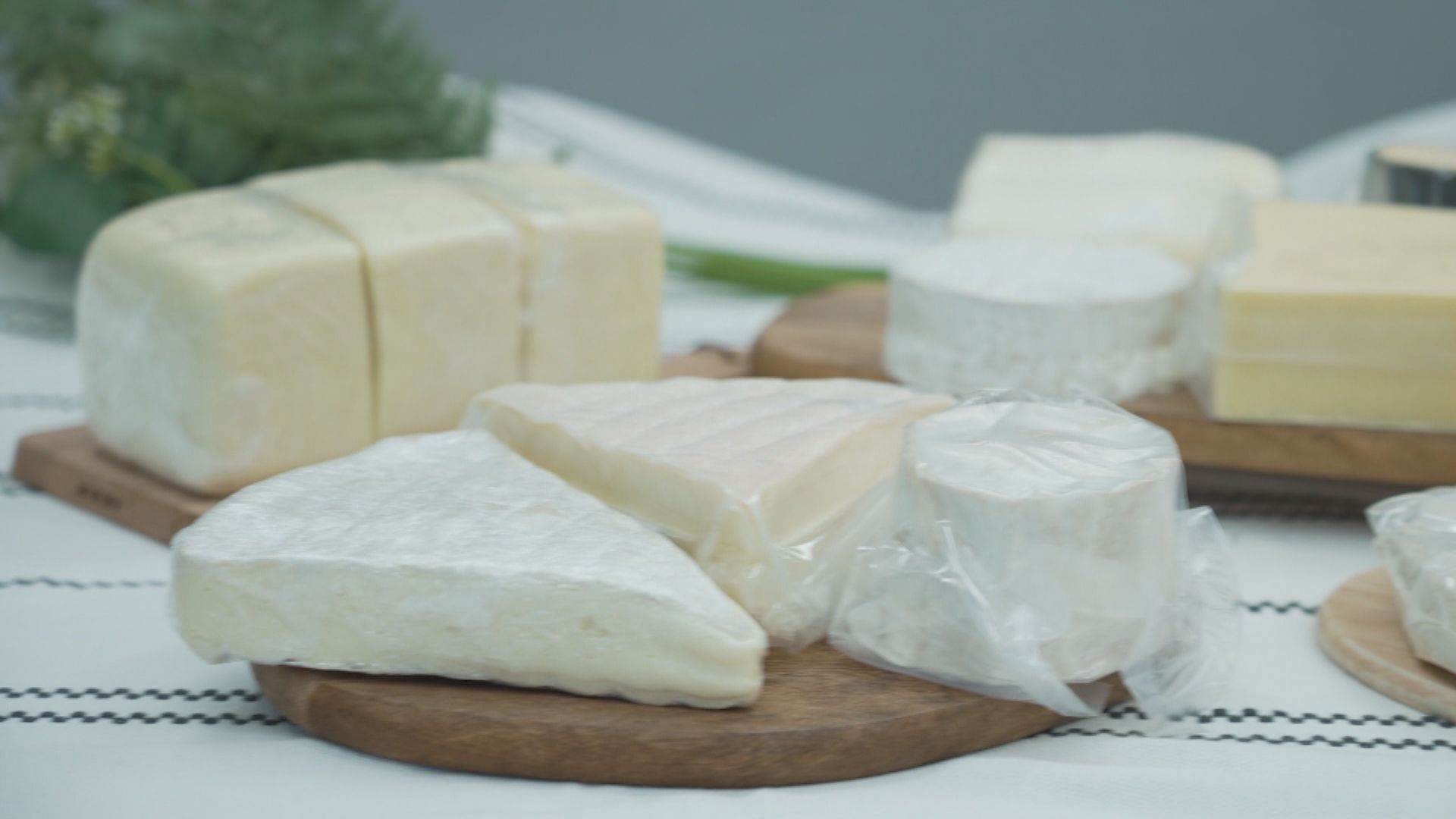 40款芝士七成高脂六成高鈉　消委會：應避免一次進食多片