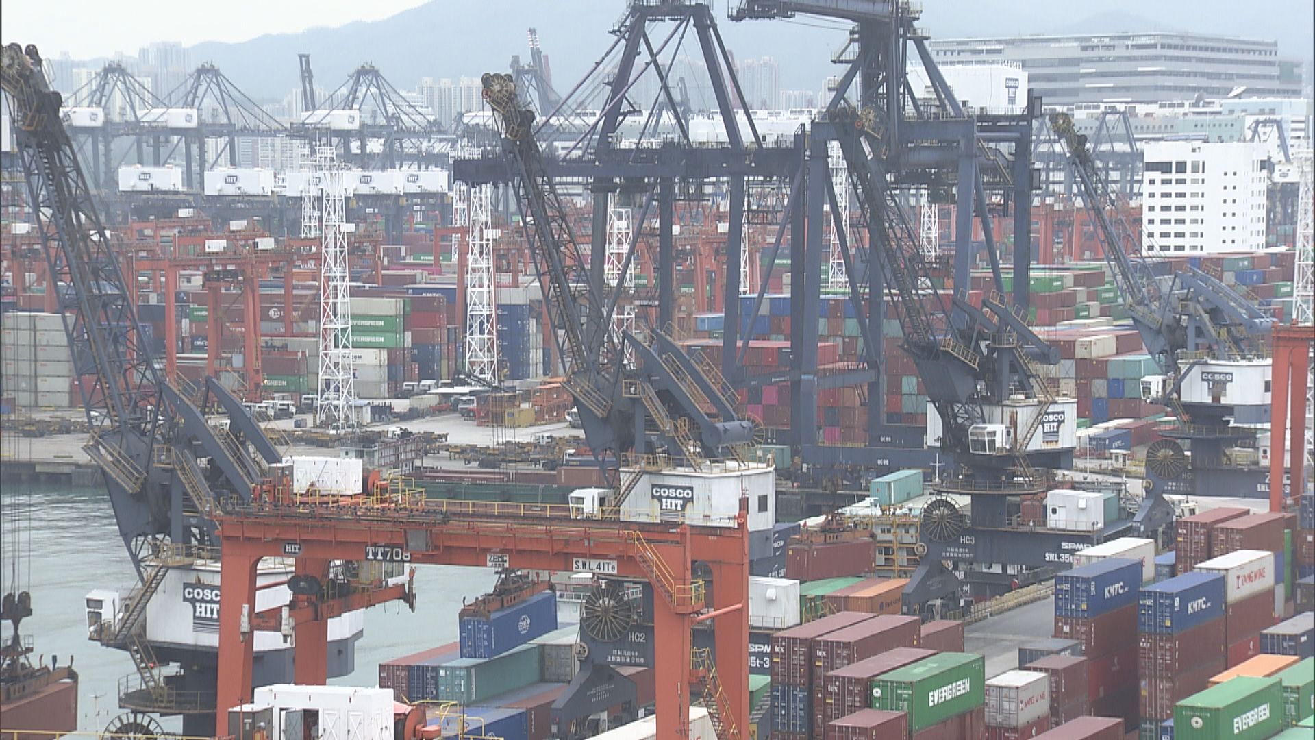 消委會海外搬運服務投訴升　需留意船期和存倉費