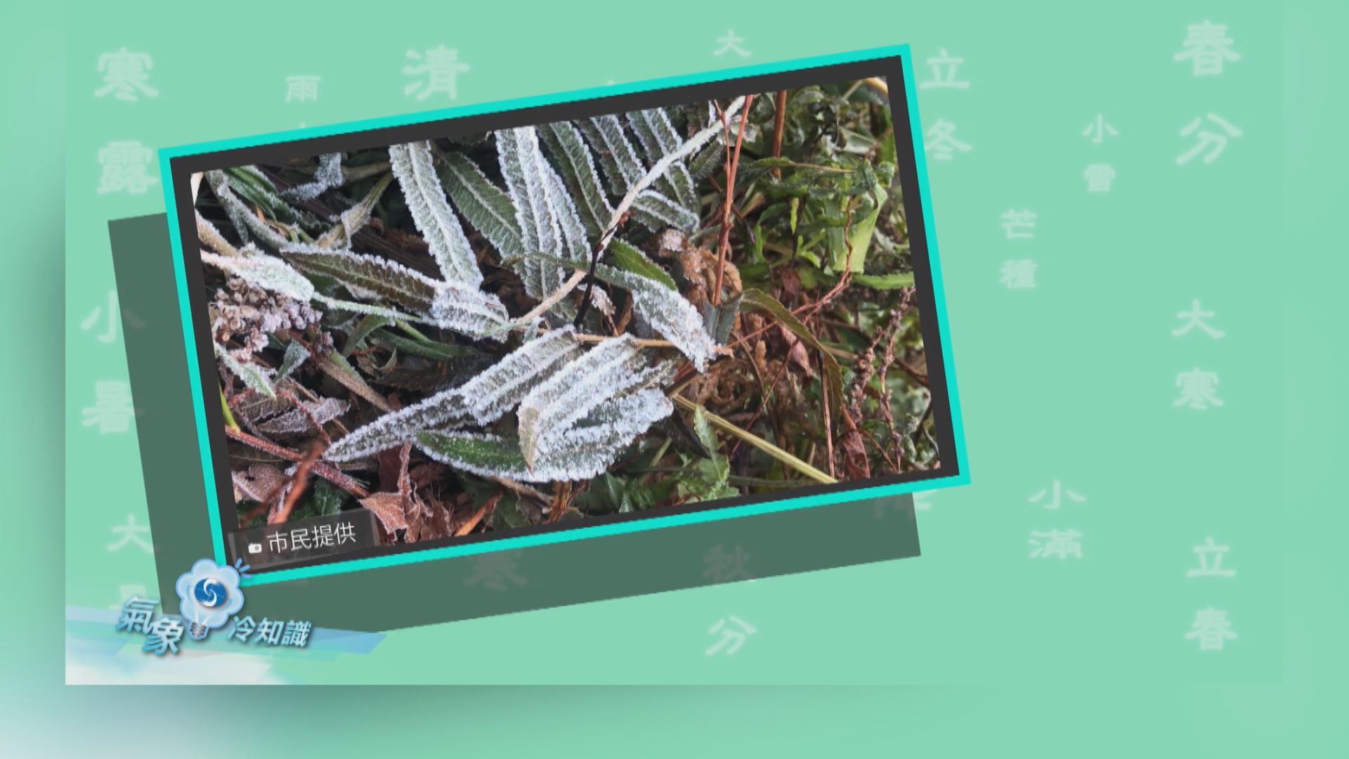 【氣象冷知識】霜降？霜不是降下來的！