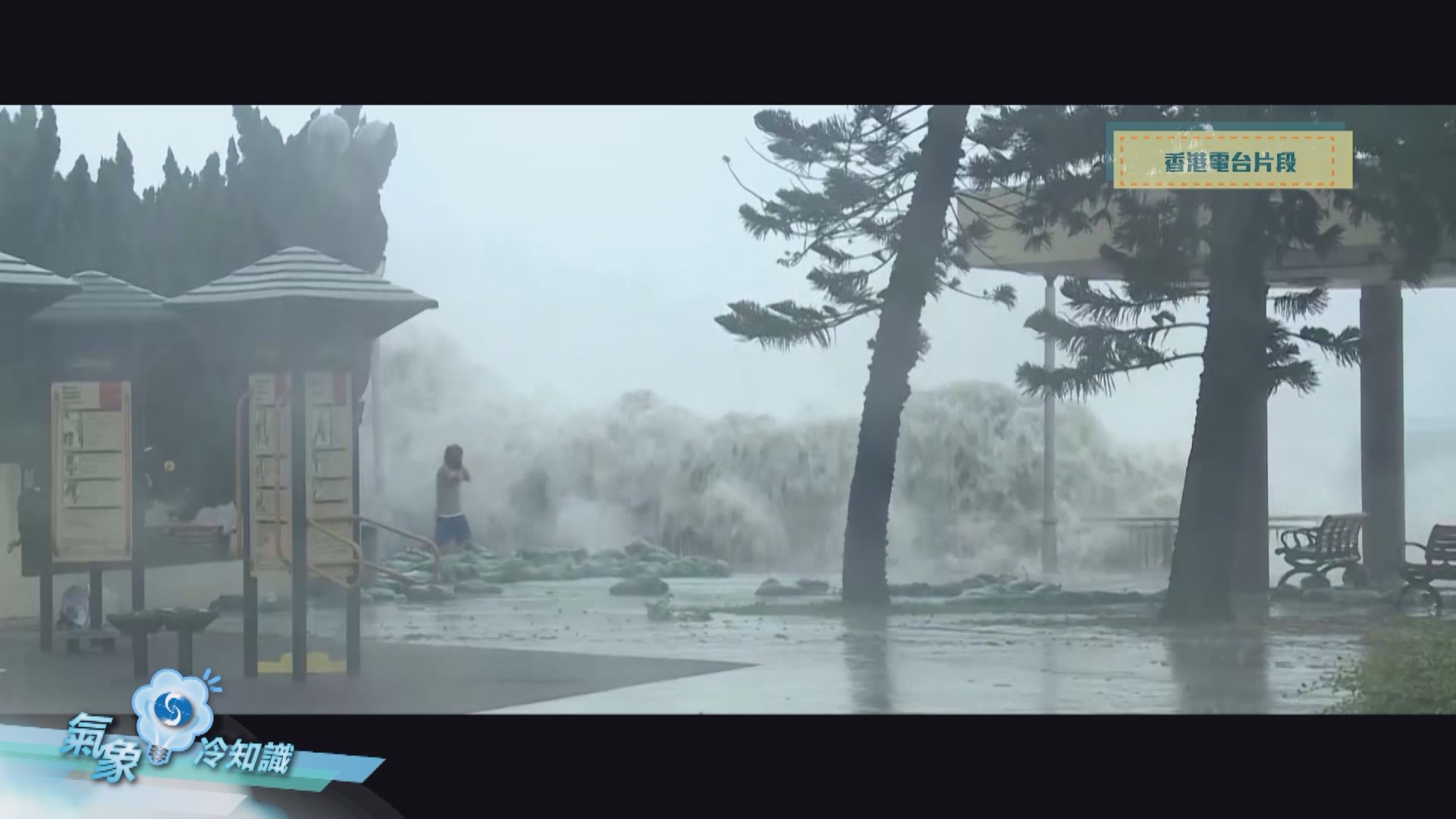 【氣象冷知識】風季備忘