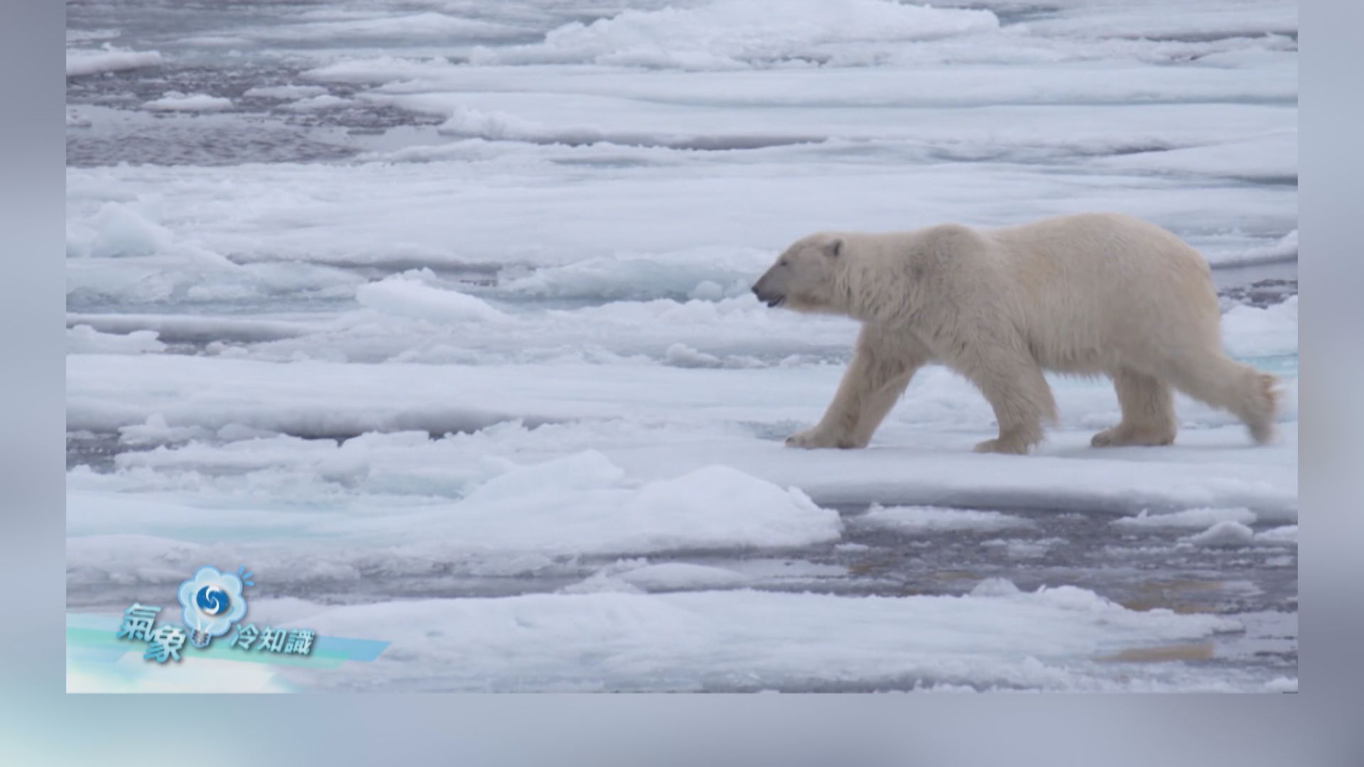 【氣象冷知識】北極地區