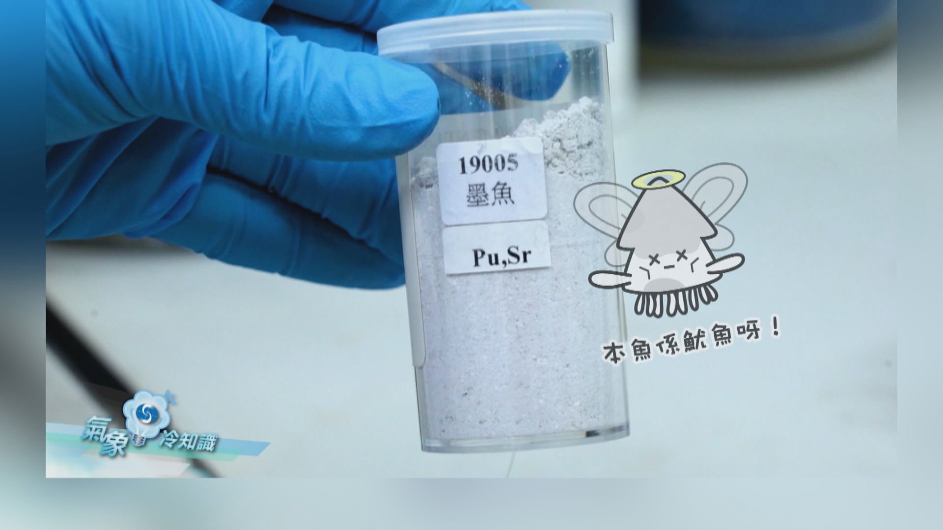 【氣象冷知識】魷魚的故事