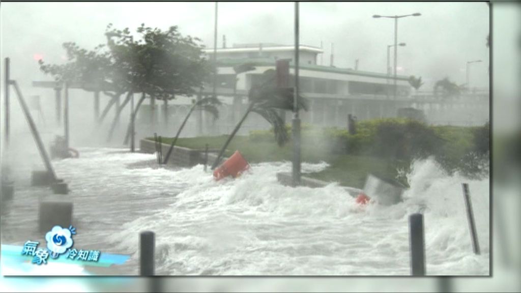 【氣象冷知識】武氏劇場之「阿風正傳」