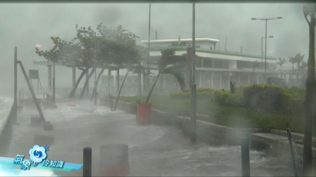 【氣象冷知識】颱風災害：風暴潮