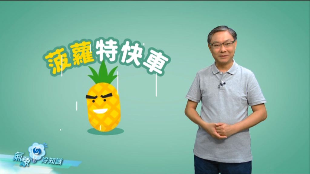 【氣象冷知識】菠蘿特快車
