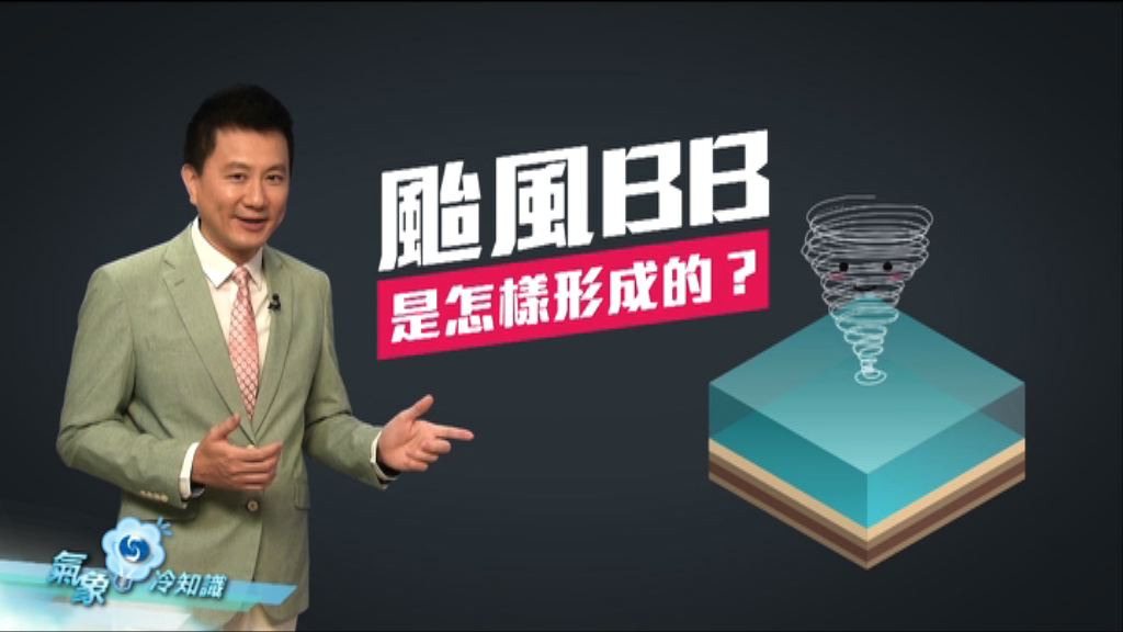 【氣象冷知識】颱風胚胎階段