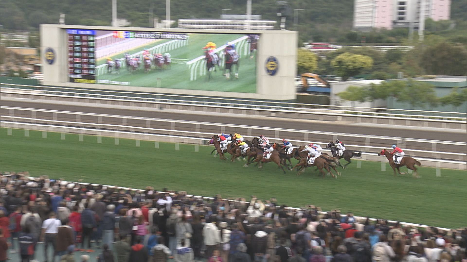 除夕至年初三逾68萬人次訪港　旅發局繼續推廣賽馬旅遊