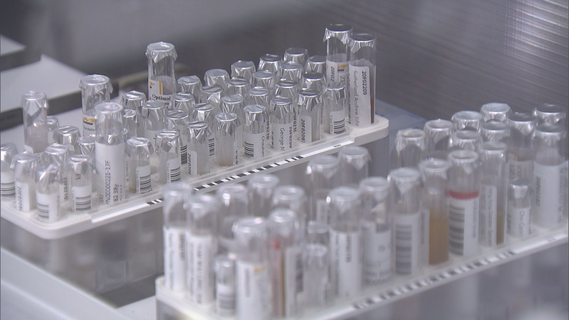 何栢良：可探討引入內地病毒試劑