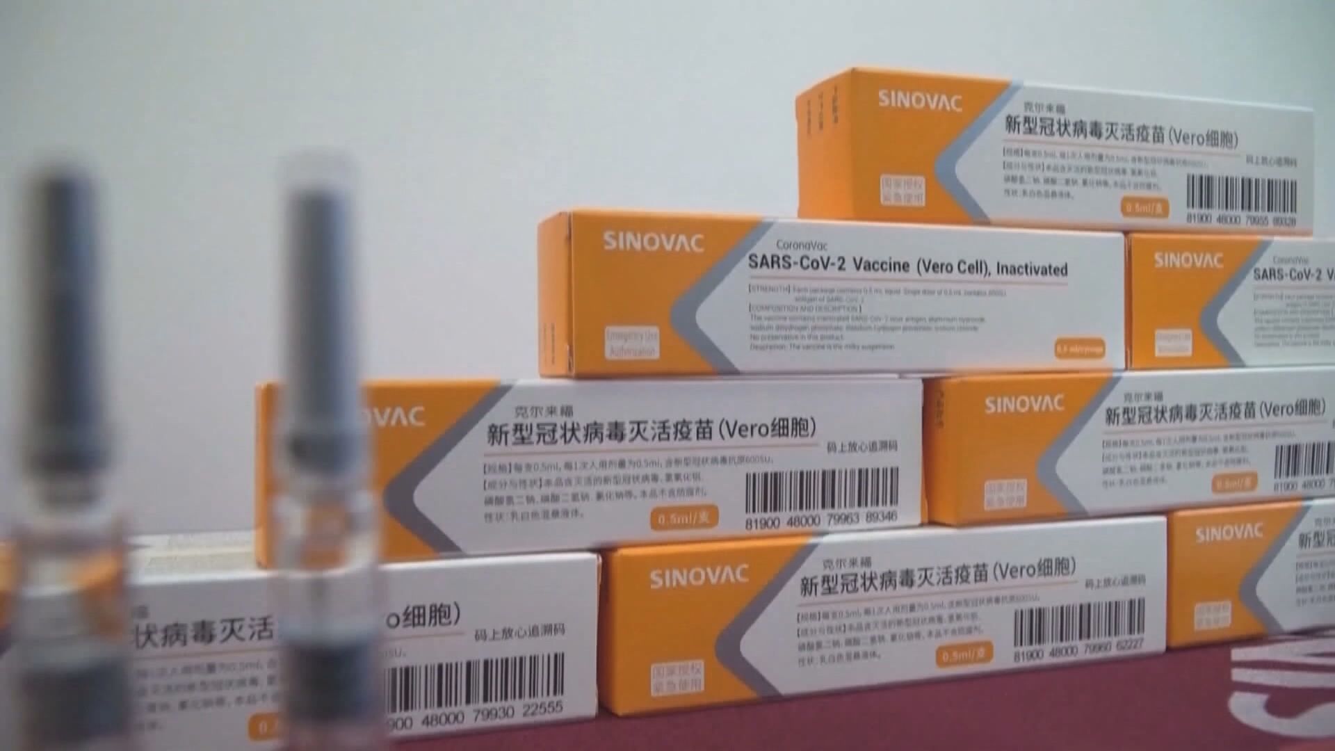 許樹昌：最快2022年初大多數人才有新冠病毒抗體