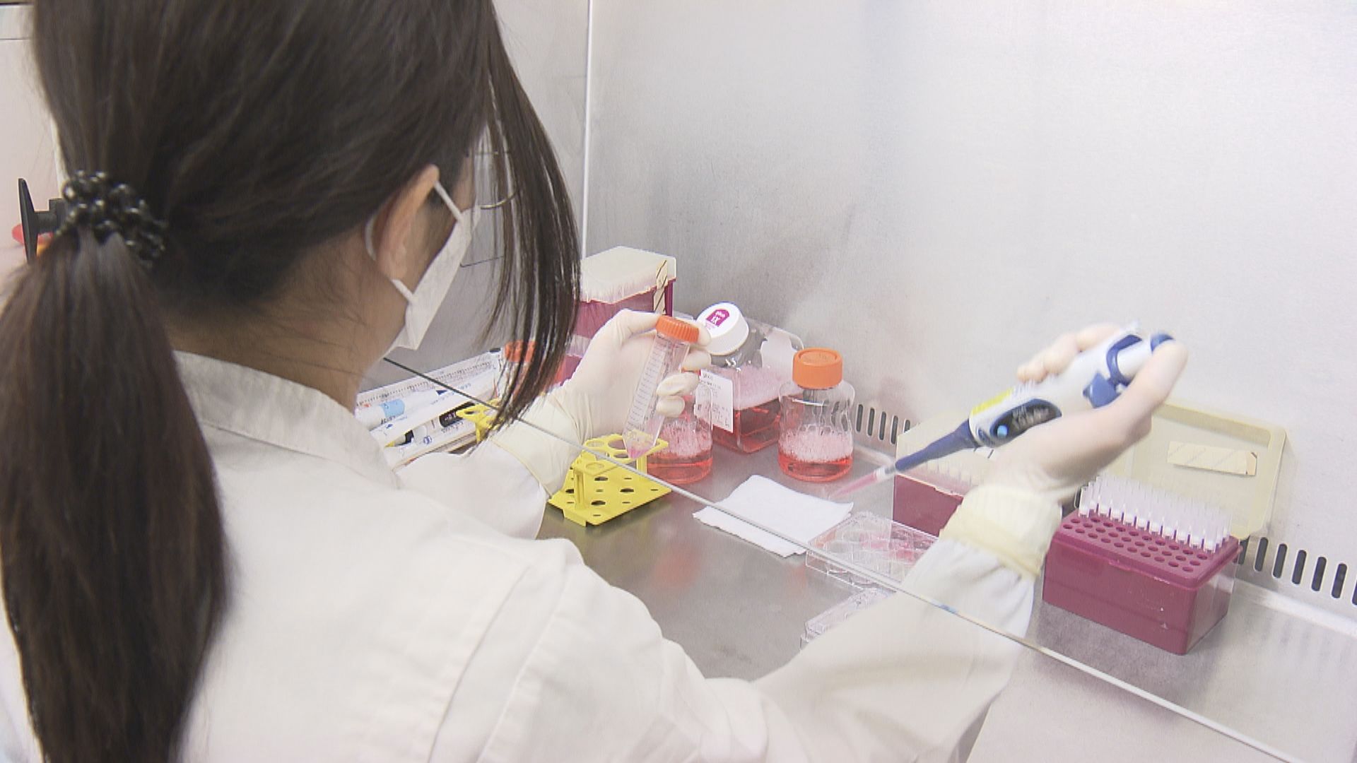 港大與內地合作研發噴鼻式疫苗　料下月開始臨床測試