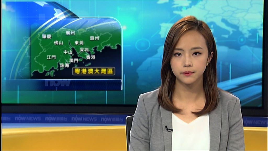 有報道指中央會成立領導小組統領大灣區工作