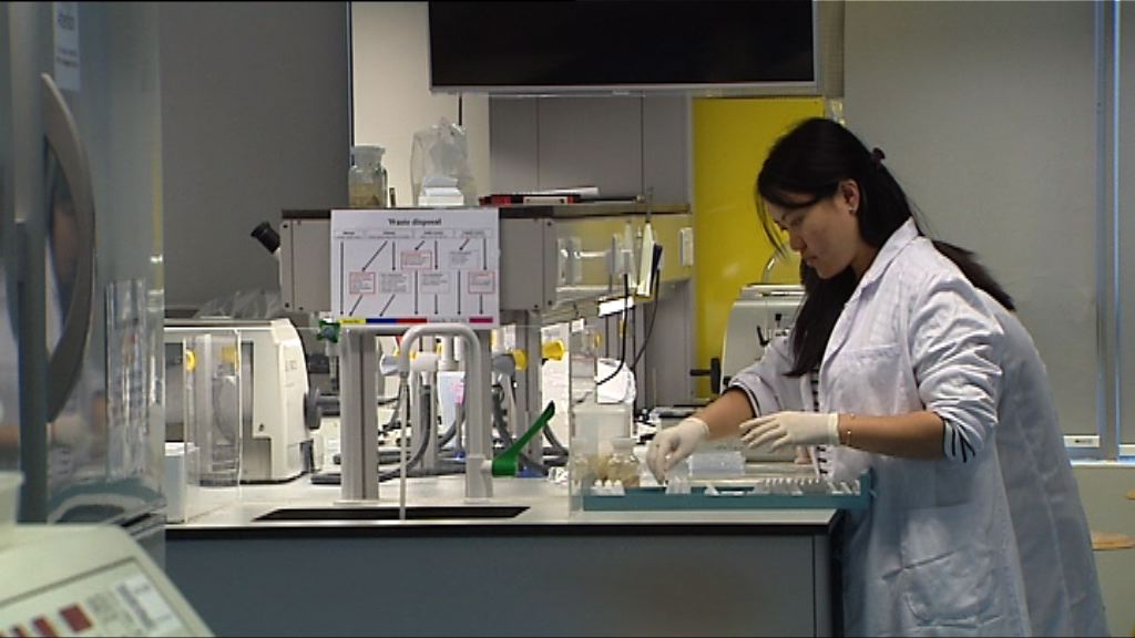 楊偉雄：科技人才入境非輸入外勞