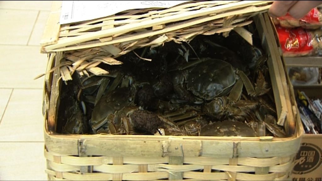 首批內地大閘蟹抵港