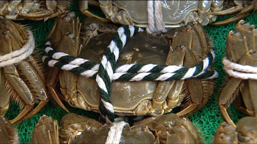 食環署要求大閘蟹銷售商領牌