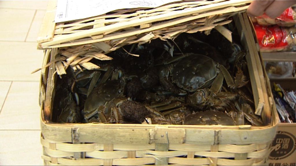 首批內地大閘蟹化驗合格獲准出售