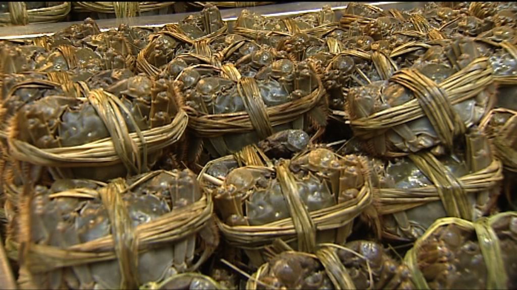 部分內地大閘蟹養殖場或從事貿易中介