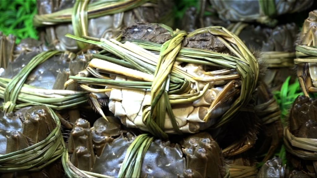 食安中心指有台灣大閘蟹樣本二噁英含量超標