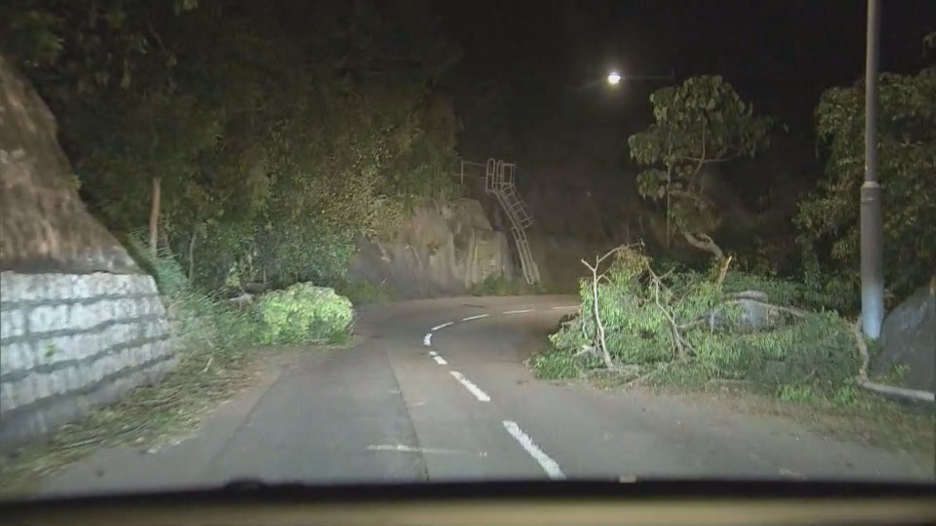 石澳及赤柱塌樹嚴重 城巴部分路線可能要縮短或停駛