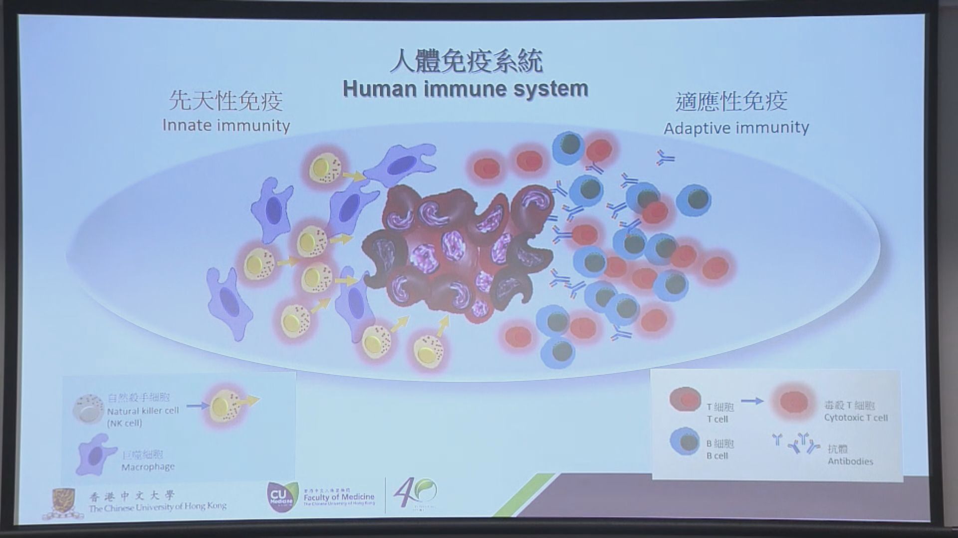 中大研究以基因編輯技術抗肺癌